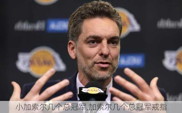 小加索尔几个总冠军,加索尔几个总冠军戒指