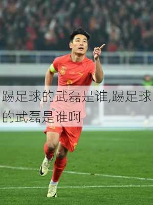 踢足球的武磊是谁,踢足球的武磊是谁啊