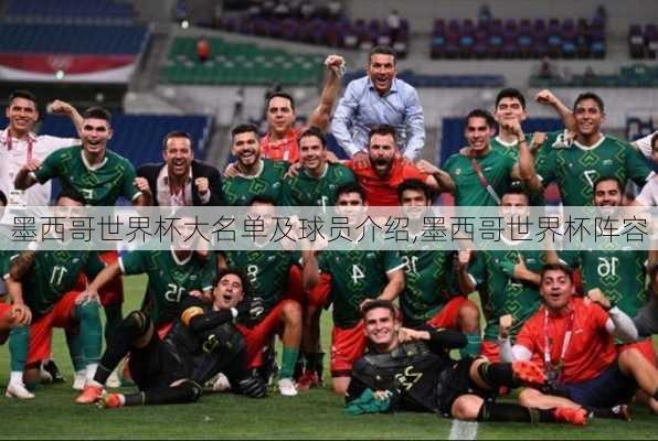 墨西哥世界杯大名单及球员介绍,墨西哥世界杯阵容