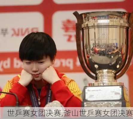 世乒赛女团决赛,釜山世乒赛女团决赛