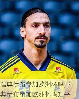 瑞典伊布参加欧洲杯吗,瑞典伊布参加欧洲杯吗知乎
