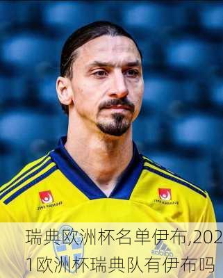 瑞典欧洲杯名单伊布,2021欧洲杯瑞典队有伊布吗