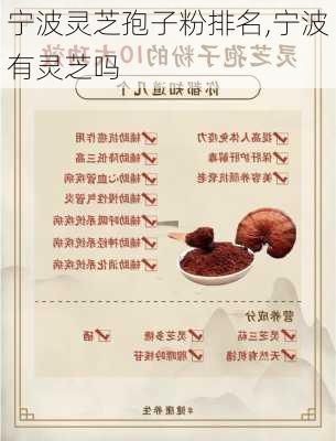 宁波灵芝孢子粉排名,宁波有灵芝吗