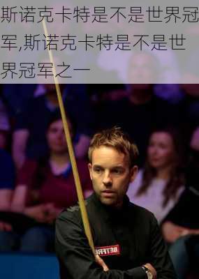 斯诺克卡特是不是世界冠军,斯诺克卡特是不是世界冠军之一