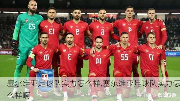 塞尔维亚足球队实力怎么样,塞尔维亚足球队实力怎么样啊
