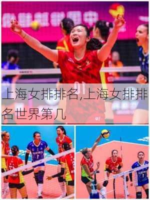 上海女排排名,上海女排排名世界第几