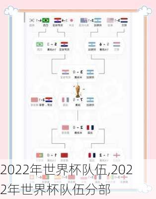 2022年世界杯队伍,2022年世界杯队伍分部
