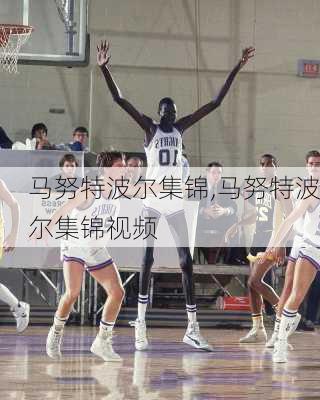 马努特波尔集锦,马努特波尔集锦视频