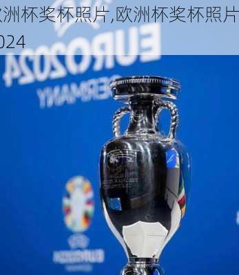 欧洲杯奖杯照片,欧洲杯奖杯照片2024
