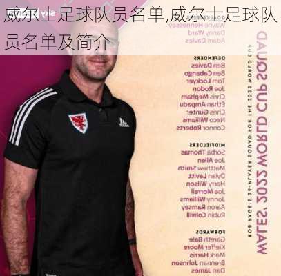 威尔士足球队员名单,威尔士足球队员名单及简介