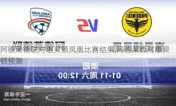 阿德莱德联对惠灵顿凤凰比赛结果,阿德莱德对惠灵顿预测
