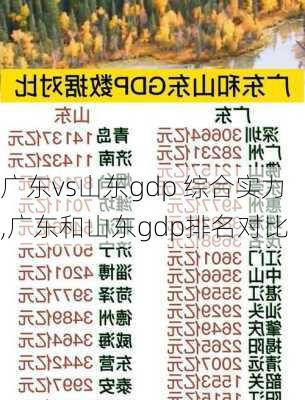 广东vs山东gdp 综合实力,广东和山东gdp排名对比