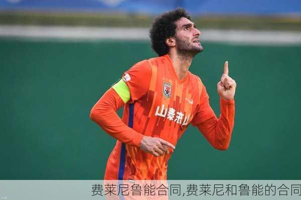 费莱尼鲁能合同,费莱尼和鲁能的合同