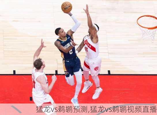 猛龙vs鹈鹕预测,猛龙vs鹈鹕视频直播