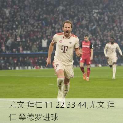 尤文 拜仁 11 22 33 44,尤文 拜仁 桑德罗进球