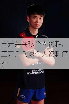 王开乒乓球个人资料,王开乒乓球个人资料简介