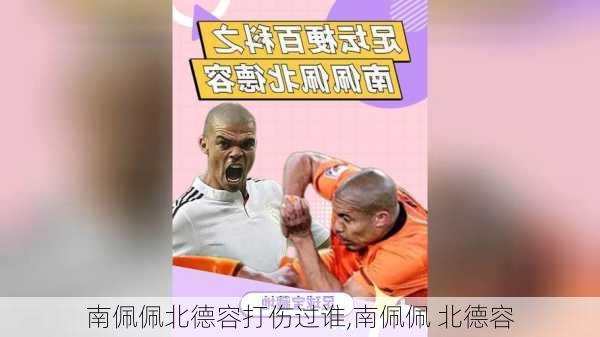 南佩佩北德容打伤过谁,南佩佩 北德容
