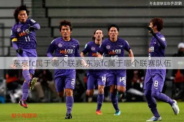 东京fc属于哪个联赛,东京fc属于哪个联赛队伍