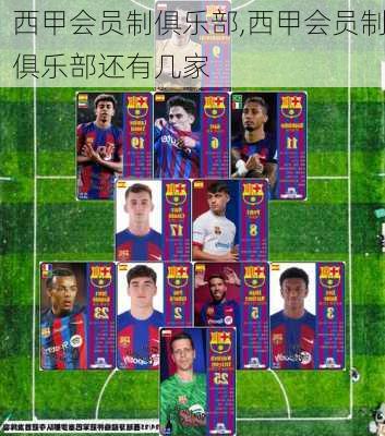西甲会员制俱乐部,西甲会员制俱乐部还有几家