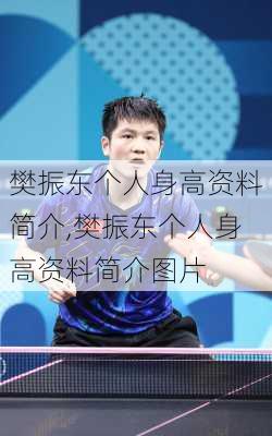 樊振东个人身高资料简介,樊振东个人身高资料简介图片