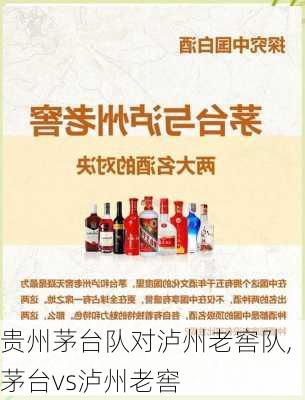 贵州茅台队对泸州老窖队,茅台vs泸州老窖