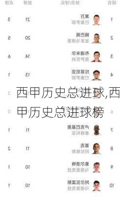 西甲历史总进球,西甲历史总进球榜