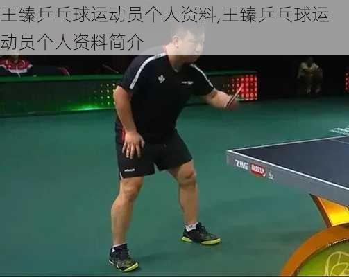 王臻乒乓球运动员个人资料,王臻乒乓球运动员个人资料简介