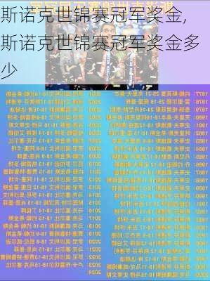 斯诺克世锦赛冠军奖金,斯诺克世锦赛冠军奖金多少