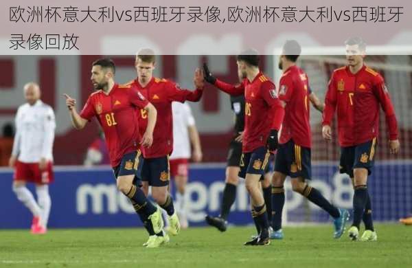 欧洲杯意大利vs西班牙录像,欧洲杯意大利vs西班牙录像回放