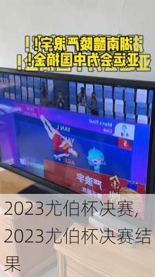 2023尤伯杯决赛,2023尤伯杯决赛结果