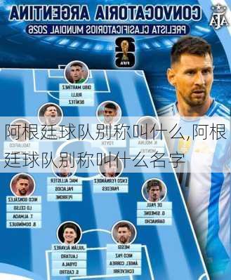 阿根廷球队别称叫什么,阿根廷球队别称叫什么名字
