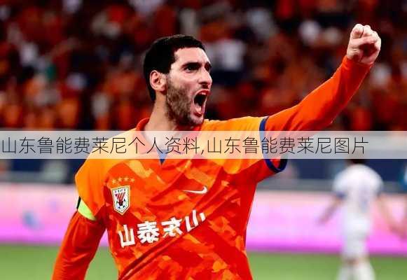 山东鲁能费莱尼个人资料,山东鲁能费莱尼图片