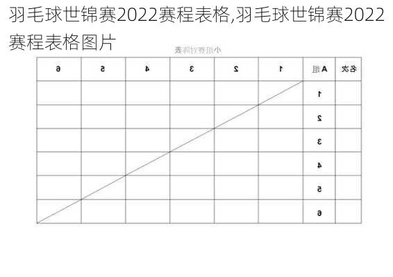 羽毛球世锦赛2022赛程表格,羽毛球世锦赛2022赛程表格图片