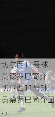 切尔西11号球员德罗巴简介,切尔西11号球员德罗巴简介图片