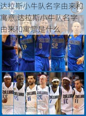达拉斯小牛队名字由来和寓意,达拉斯小牛队名字由来和寓意是什么