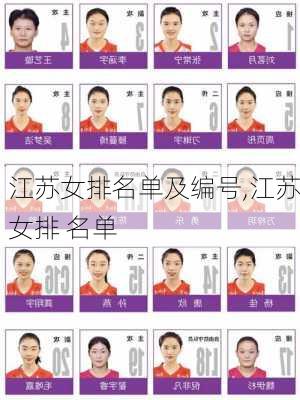 江苏女排名单及编号,江苏女排 名单