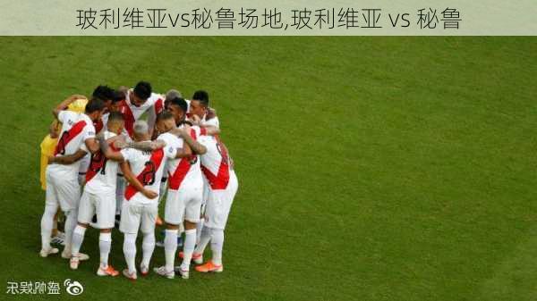 玻利维亚vs秘鲁场地,玻利维亚 vs 秘鲁