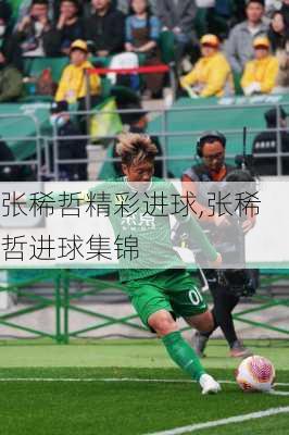 张稀哲精彩进球,张稀哲进球集锦