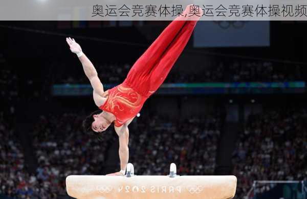 奥运会竞赛体操,奥运会竞赛体操视频