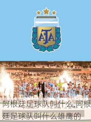 阿根廷足球队叫什么,阿根廷足球队叫什么雄鹰的