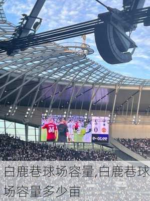 白鹿巷球场容量,白鹿巷球场容量多少亩