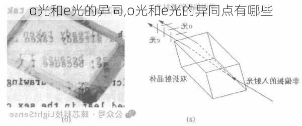 o光和e光的异同,o光和e光的异同点有哪些