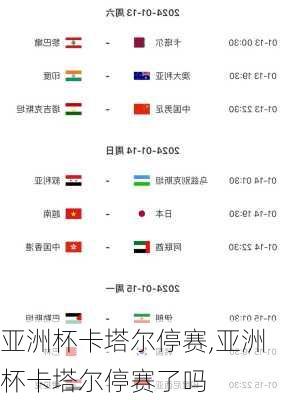 亚洲杯卡塔尔停赛,亚洲杯卡塔尔停赛了吗