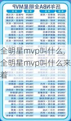 全明星mvp叫什么,全明星mvp叫什么来着
