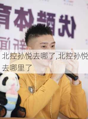 北控孙悦去哪了,北控孙悦去哪里了
