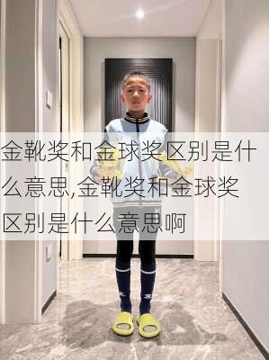 金靴奖和金球奖区别是什么意思,金靴奖和金球奖区别是什么意思啊