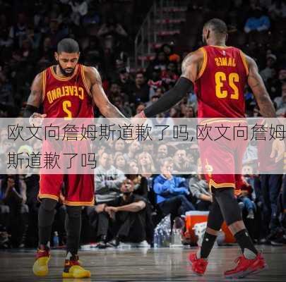 欧文向詹姆斯道歉了吗,欧文向詹姆斯道歉了吗