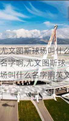 尤文图斯球场叫什么名字啊,尤文图斯球场叫什么名字啊英文