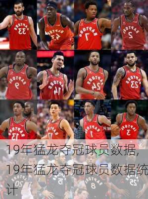 19年猛龙夺冠球员数据,19年猛龙夺冠球员数据统计