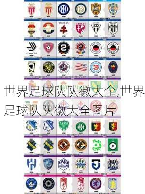 世界足球队队徽大全,世界足球队队徽大全图片